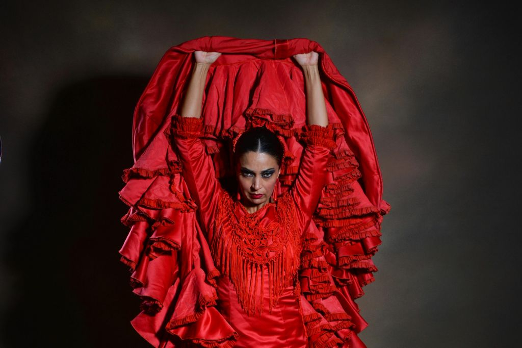 Teatro Flamenco Granada: Espectáculo Sensaciones