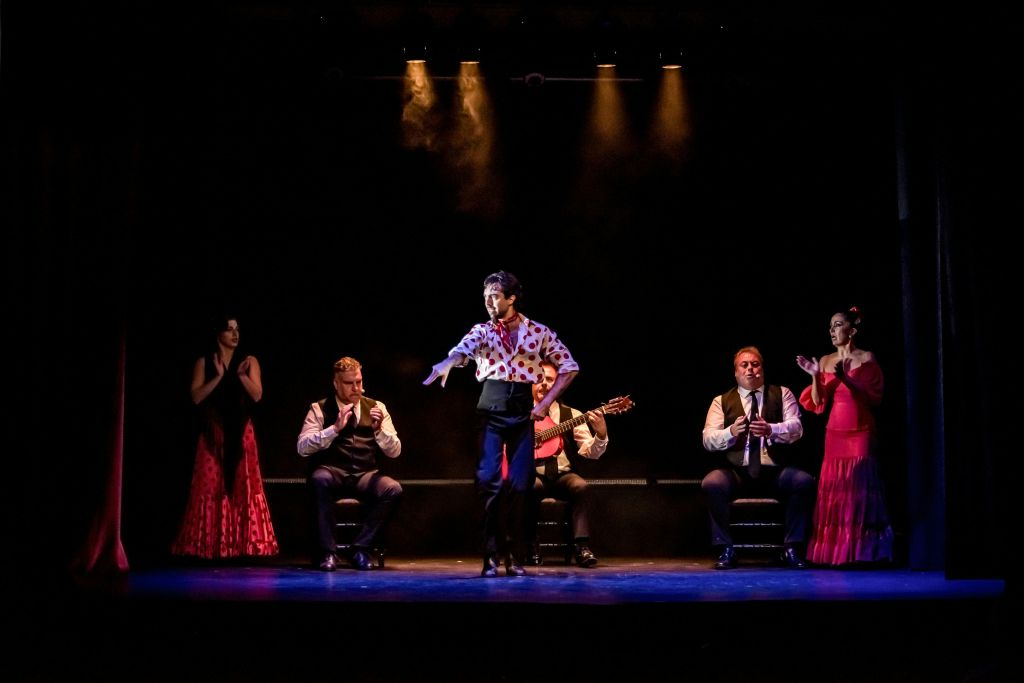 Teatro Flamenco Granada: Espectáculo Sensaciones