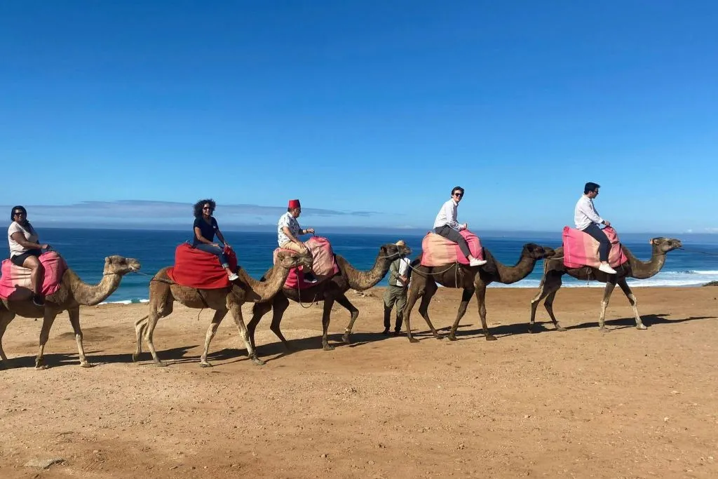 Tánger: Excursión guiada de un día desde Sevilla + Paseo en ferry + Almuerzo