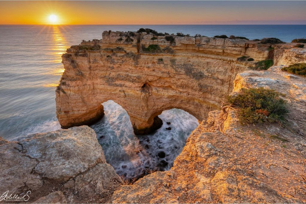 Gruta de Benagil, Praia da Marinha e Observação de Golfinhos