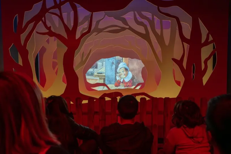 Museo di Pinocchio: Biglietto d'ingresso