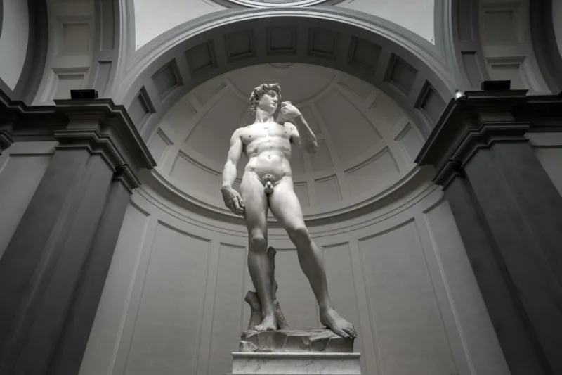 Galleria dell'Accademia e Museo de' Medici: Ingresso prioritario
