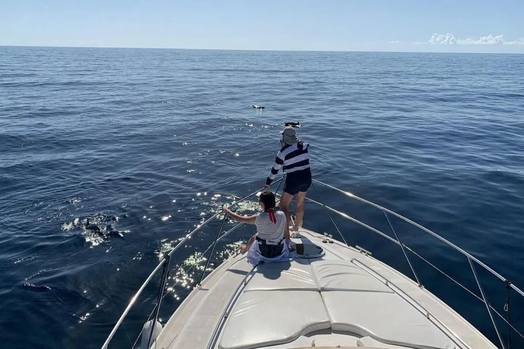 Keeper Uno: Excursión privada de 3 horas en Puerto de Mogán
