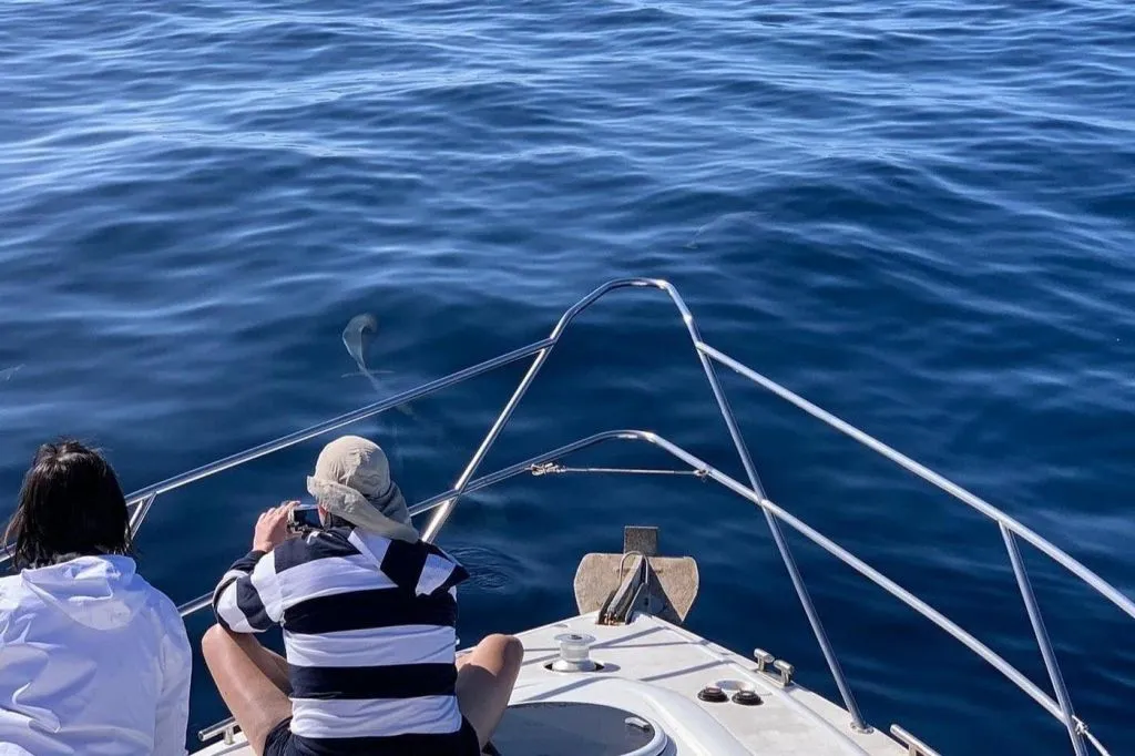 Keeper Uno: Excursión privada de 3 horas en Puerto de Mogán