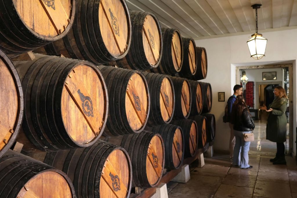 Arrabida Natural Park: Guided Tour + Transfer + Wine Tasting