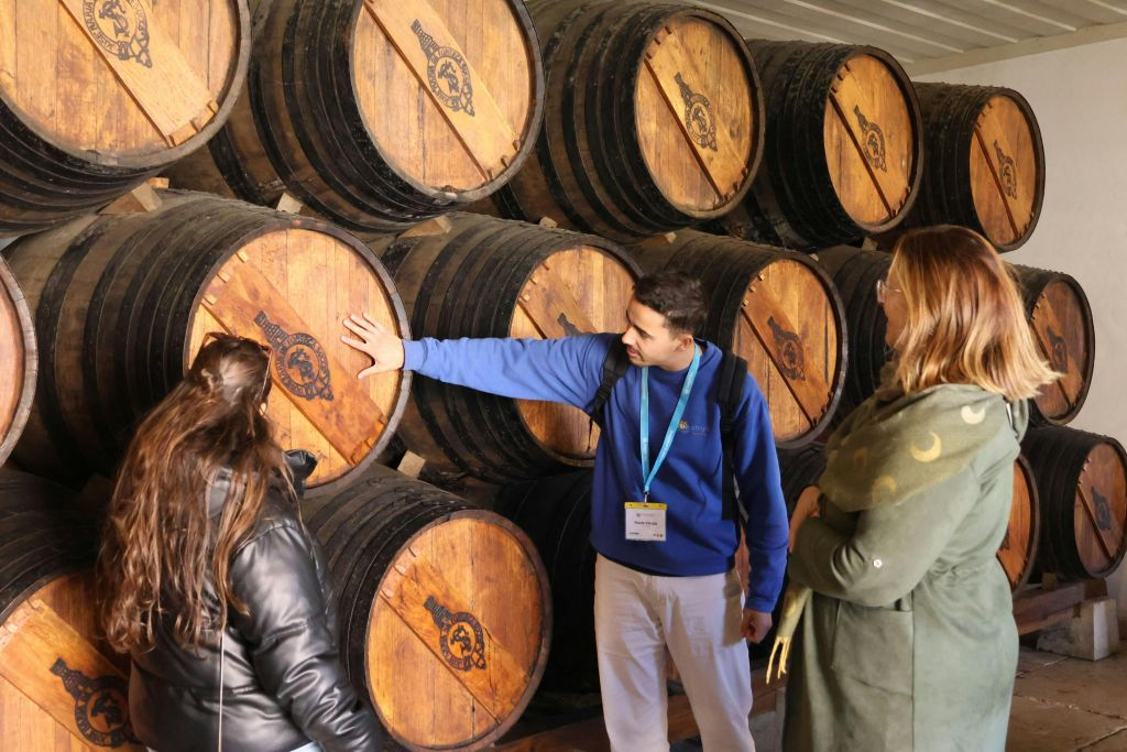 Arrabida Natural Park: Guided Tour + Transfer + Wine Tasting