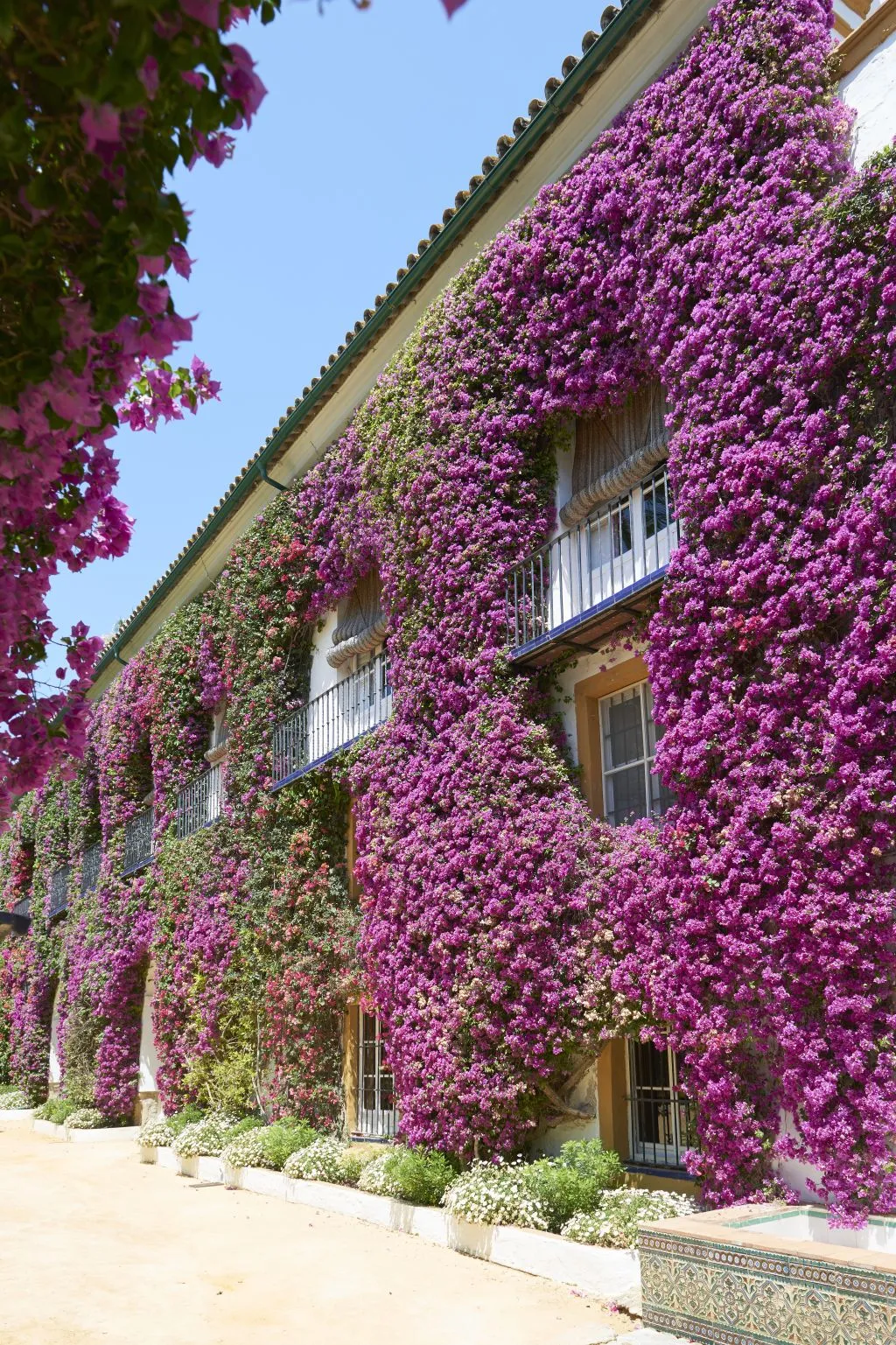 Palacio de Dueñas: Tour with Audio Guide