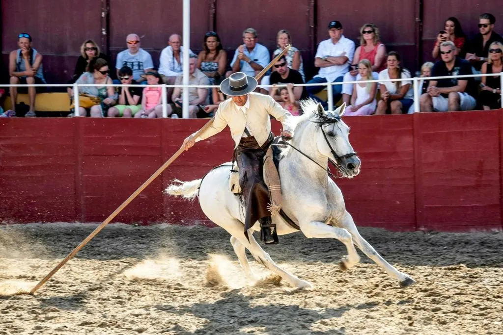 Las Lagunas de Mijas: Evening Equestrian Show + Hotel Transfer