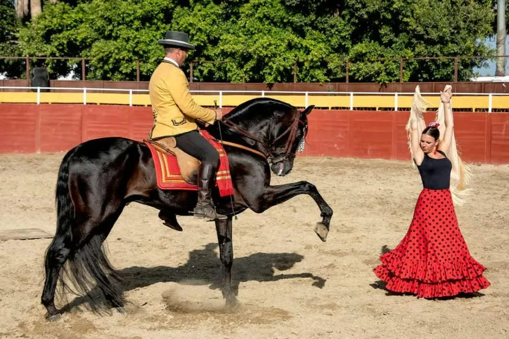 Las Lagunas de Mijas: Evening Equestrian Show + Hotel Transfer