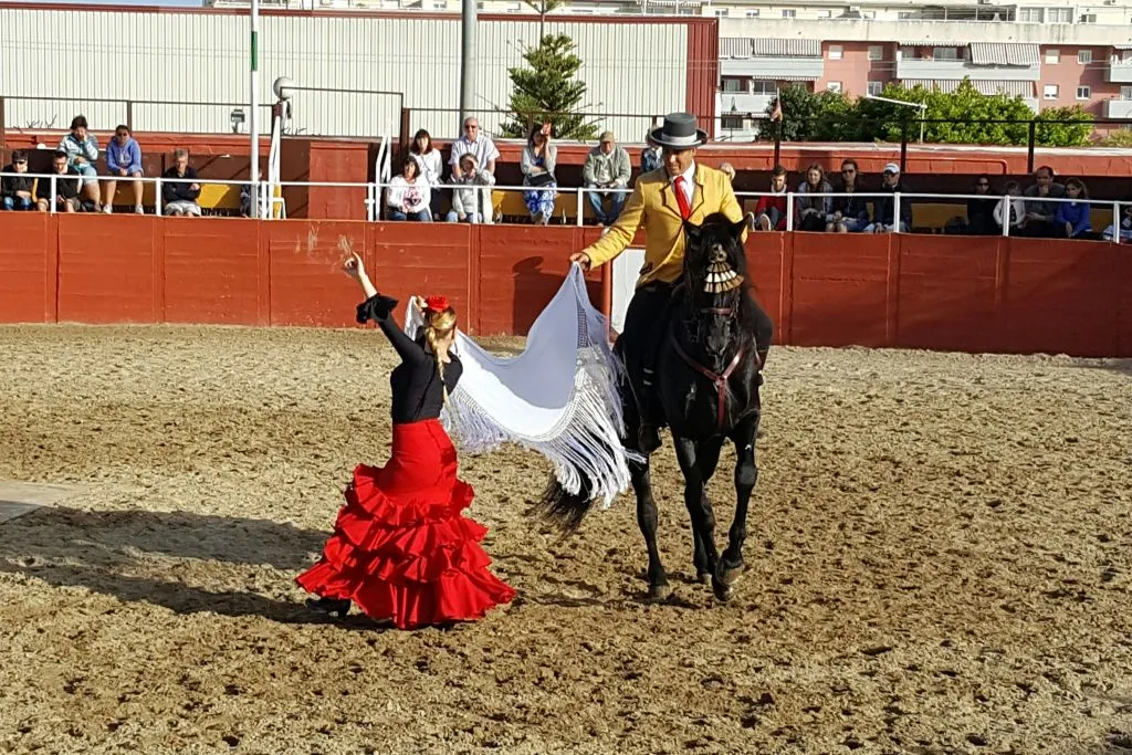 Las Lagunas de Mijas: Evening Equestrian Show + Hotel Transfer