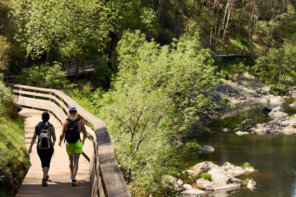 516 Ponte de Arouca e Passadiços do Paiva: Visita guiada a partir do Porto + Almoço