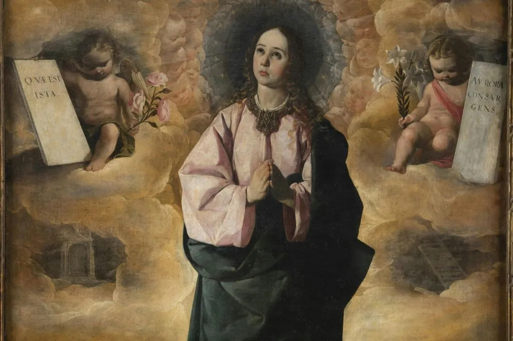 Museu Nacional d’Art de Catalunya: Zurbarán (Sobre) Natural Exhibition Ticket