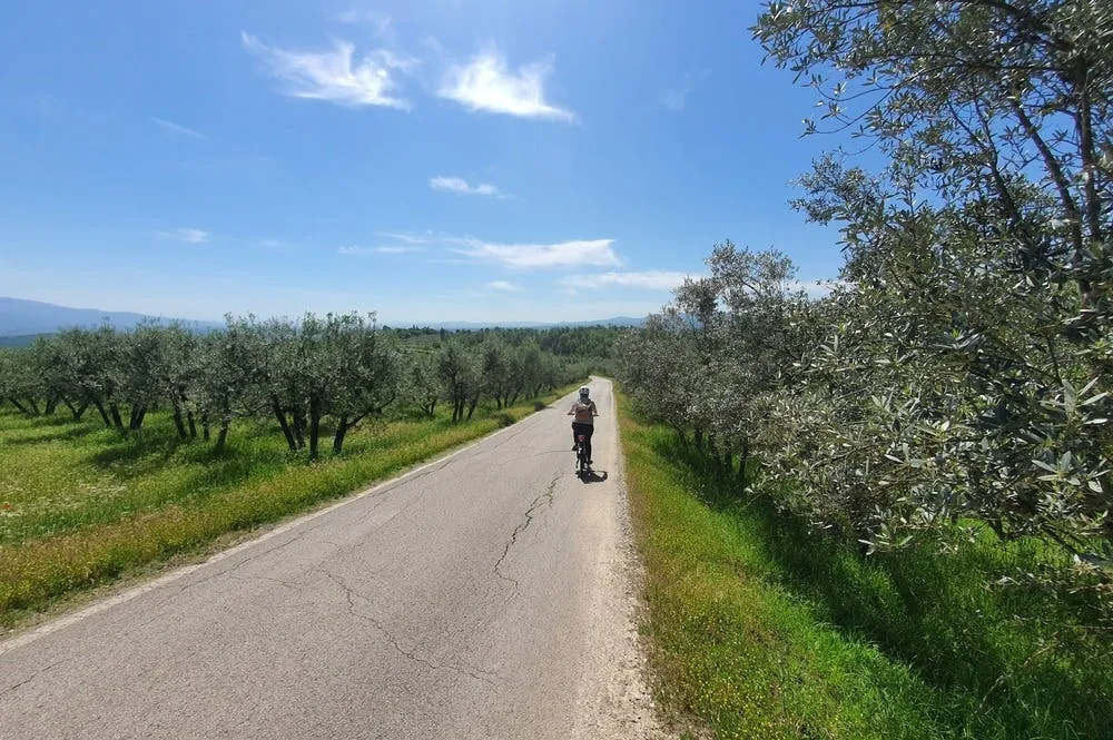 Chianti: Guided E-bike Tour + Lunch + Wine Tasting
