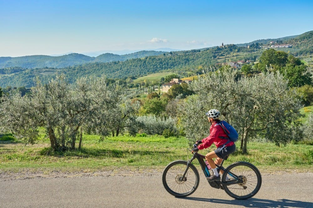 Chianti: Tour guidato in e-bike + pranzo + degustazione di vini