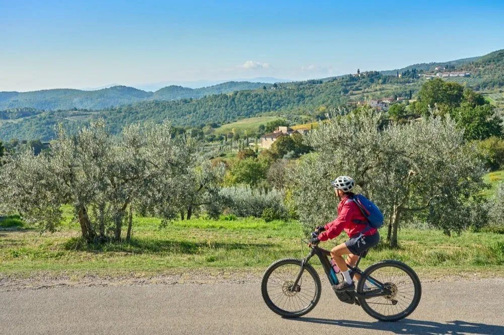 Chianti: Guided E-bike Tour + Lunch + Wine Tasting