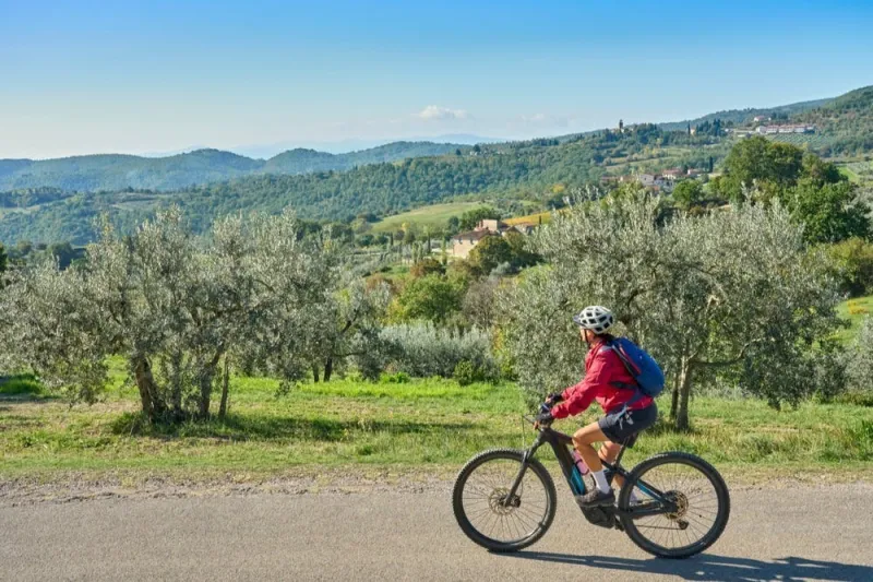 Chianti: Guided E-bike Tour + Lunch + Wine Tasting
