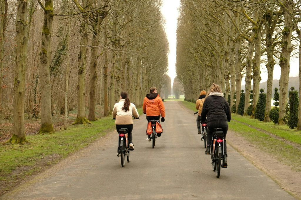 Versailles Paris: Guided Bike Tour