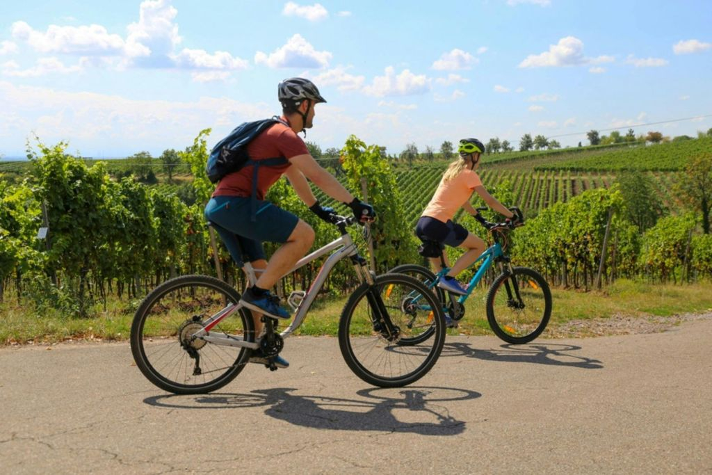 Fiesole: Visita guiada en bicicleta eléctrica desde Florencia + Cata de aceite de oliva
