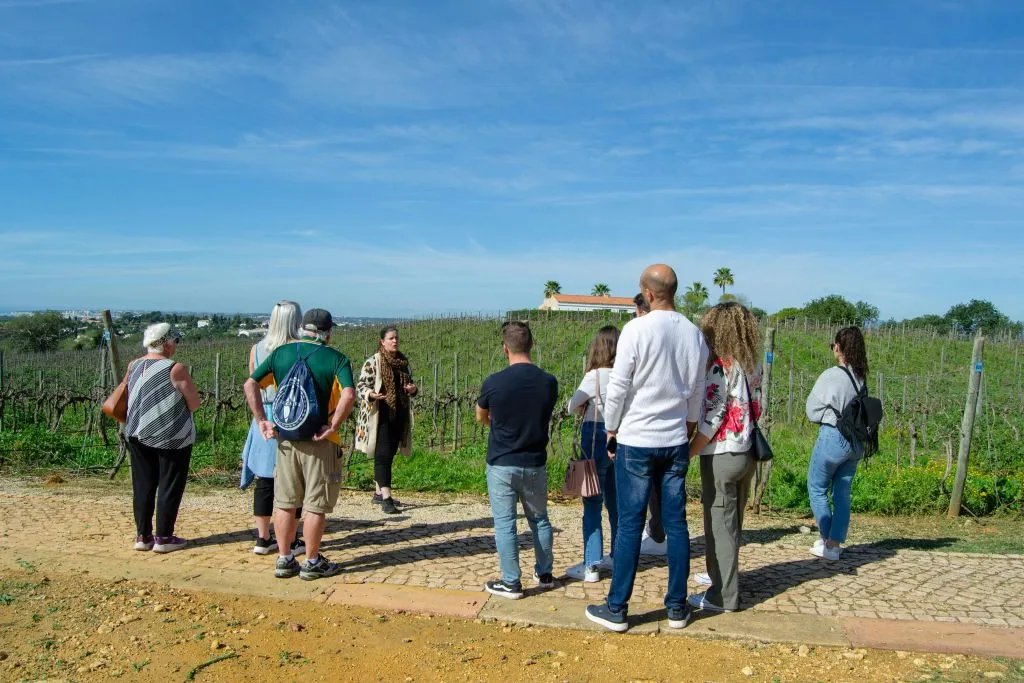 Albufeira: Guided Tour + Wine Tasting + Transfers