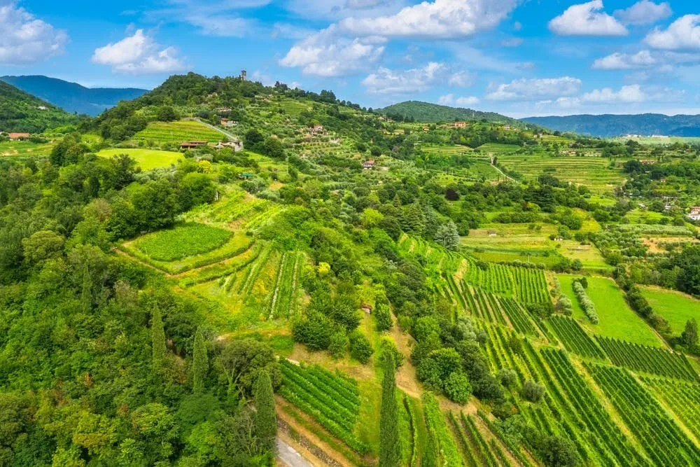 Lago d'Iseo e Franciacorta: tour guidato da Milano + degustazione di vini