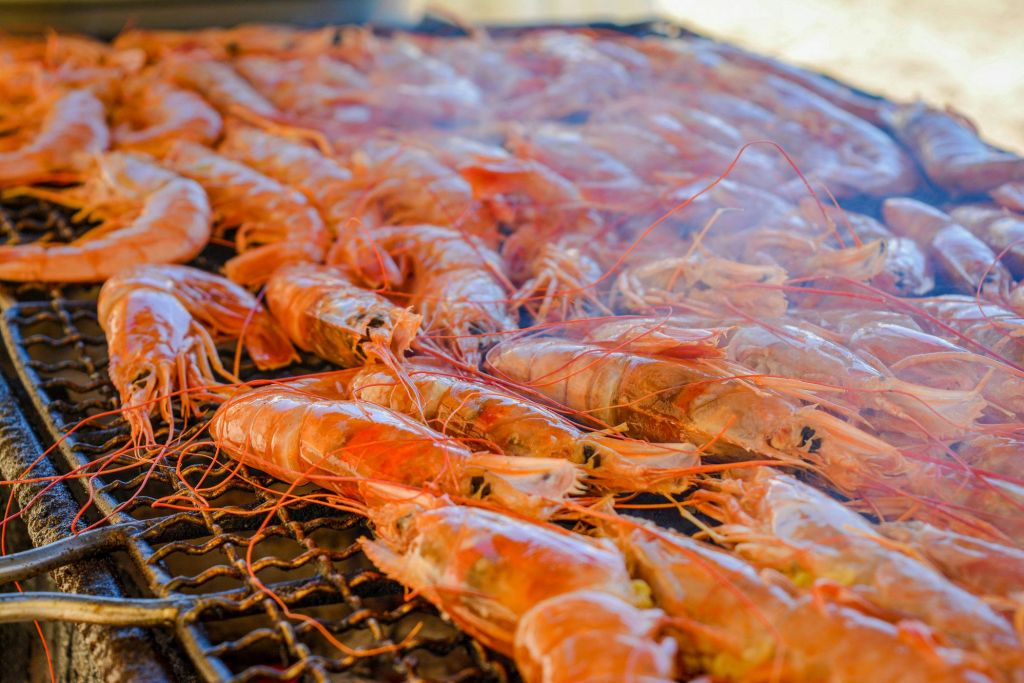 Vilamoura: Passeio de barco guiado + Almoço com churrasco