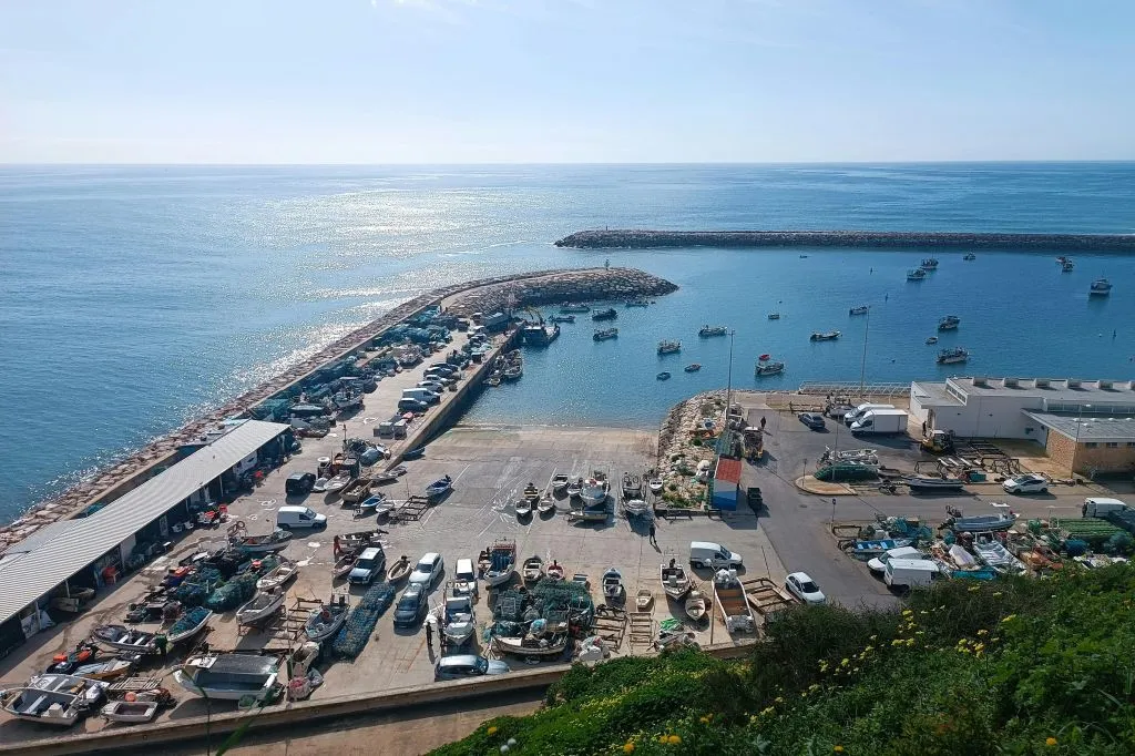 Albufeira: Guided Walking Tour + Food & Drink Tasting