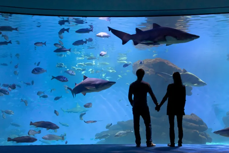 Palma Aquarium: Entrada sin colas + Cine 3D Aquadome opcional