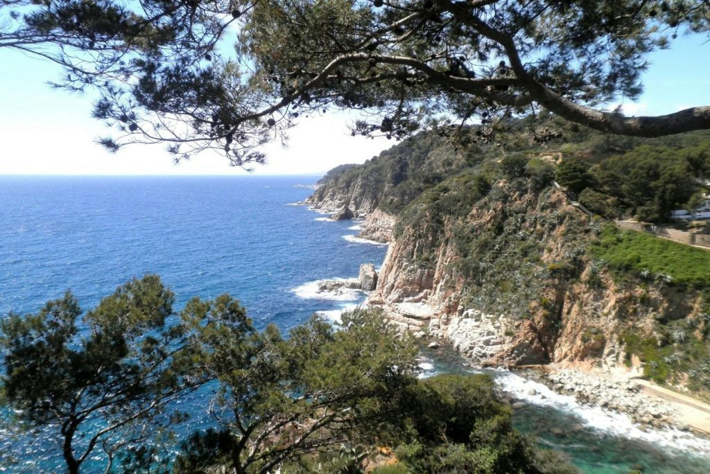 Costa Brava: Guided Day Tour from Barcelona