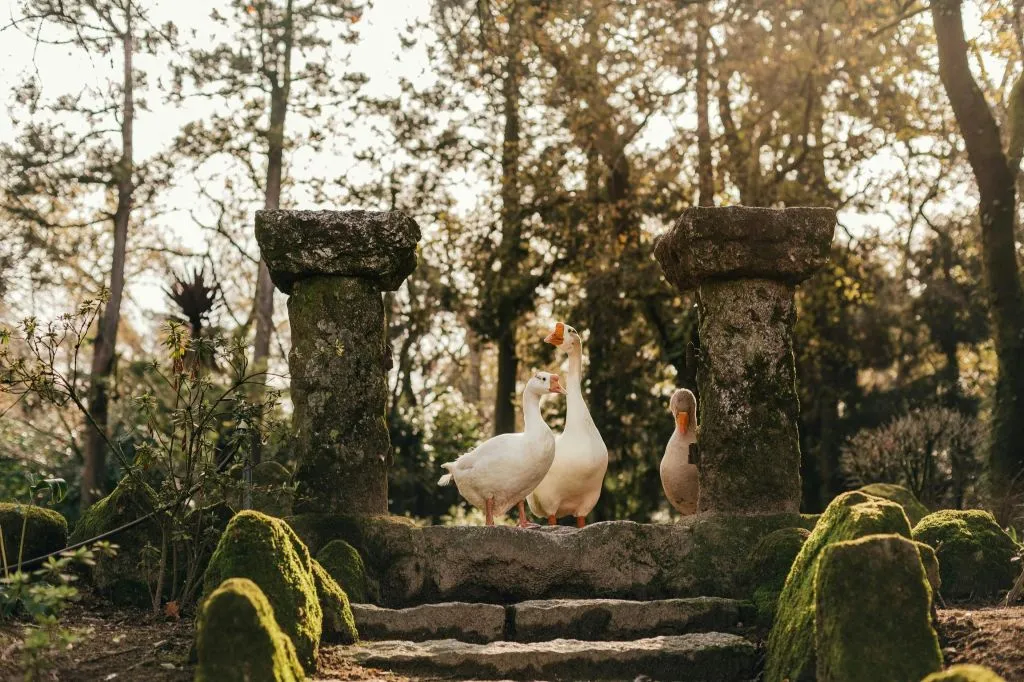 Quinta da Aveleda: Enchanted Gardens & Green Wine Experience