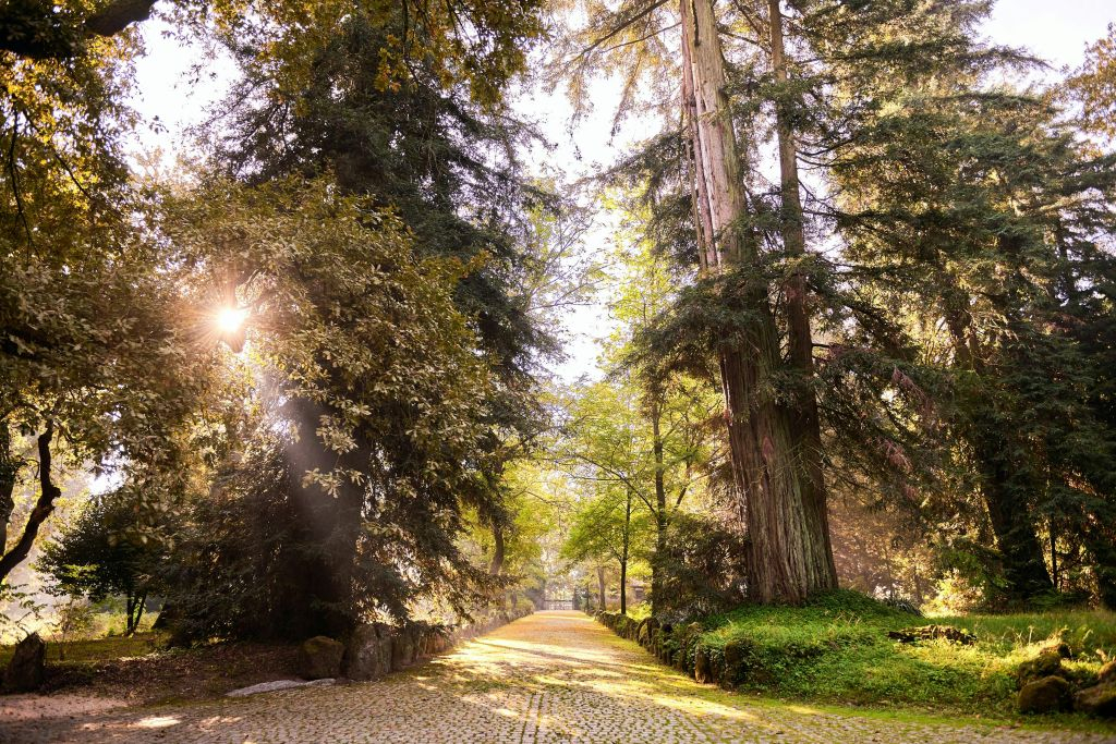 Quinta da Aveleda: Enchanted Gardens & Green Wine Experience