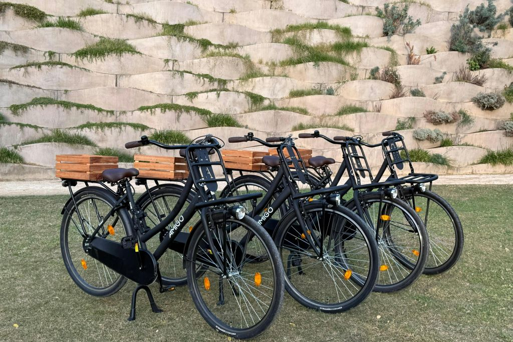 Valencia: Dutch-Style "Omafiets" City Bike Rental