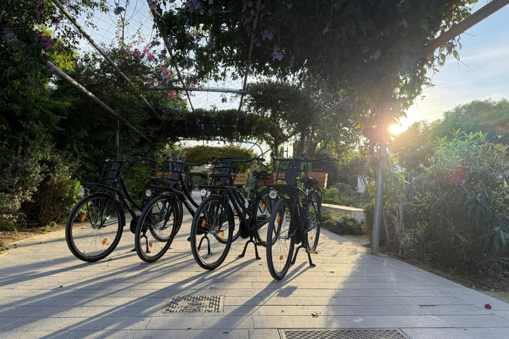 Valencia: Dutch-Style "Omafiets" City Bike Rental