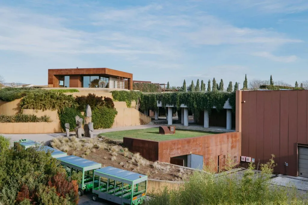 Barcelona: Guided Familia Torres Winery Tour + Tastings