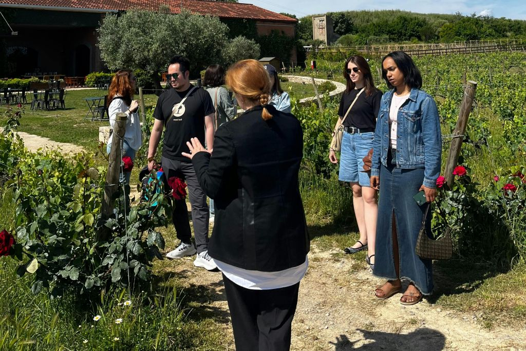 Barcelona: Guided Familia Torres Winery Tour + Tastings