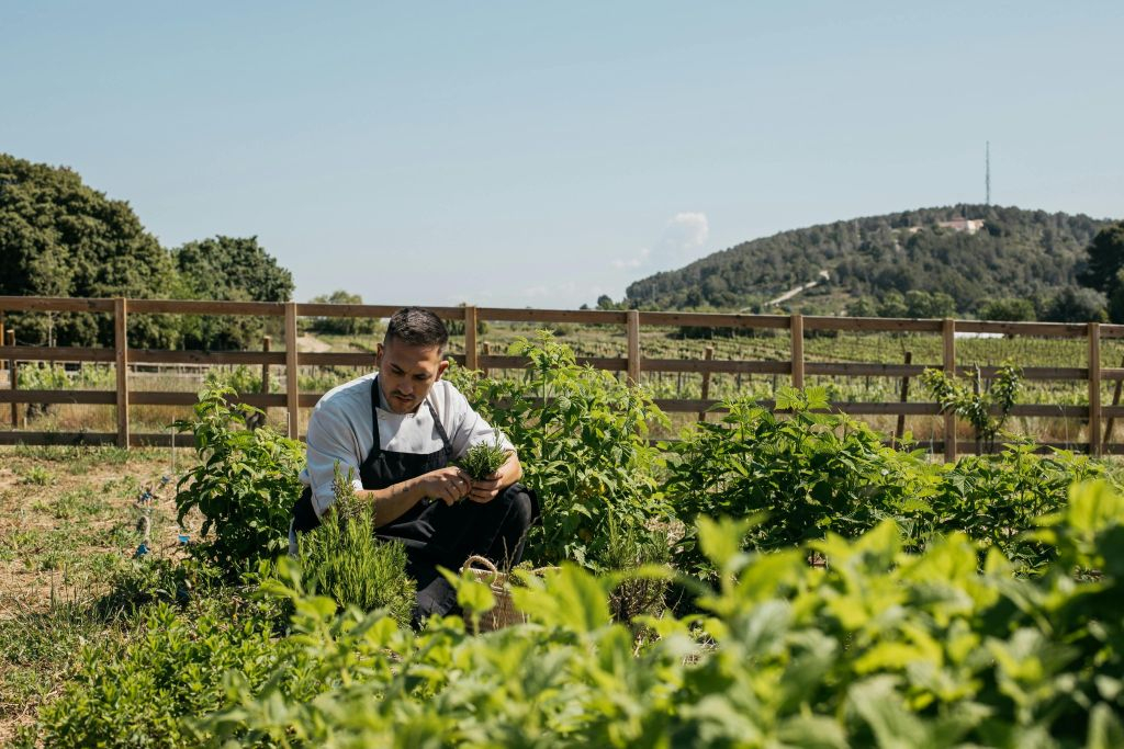 Barcelona: Guided Familia Torres Winery Tour + Tastings