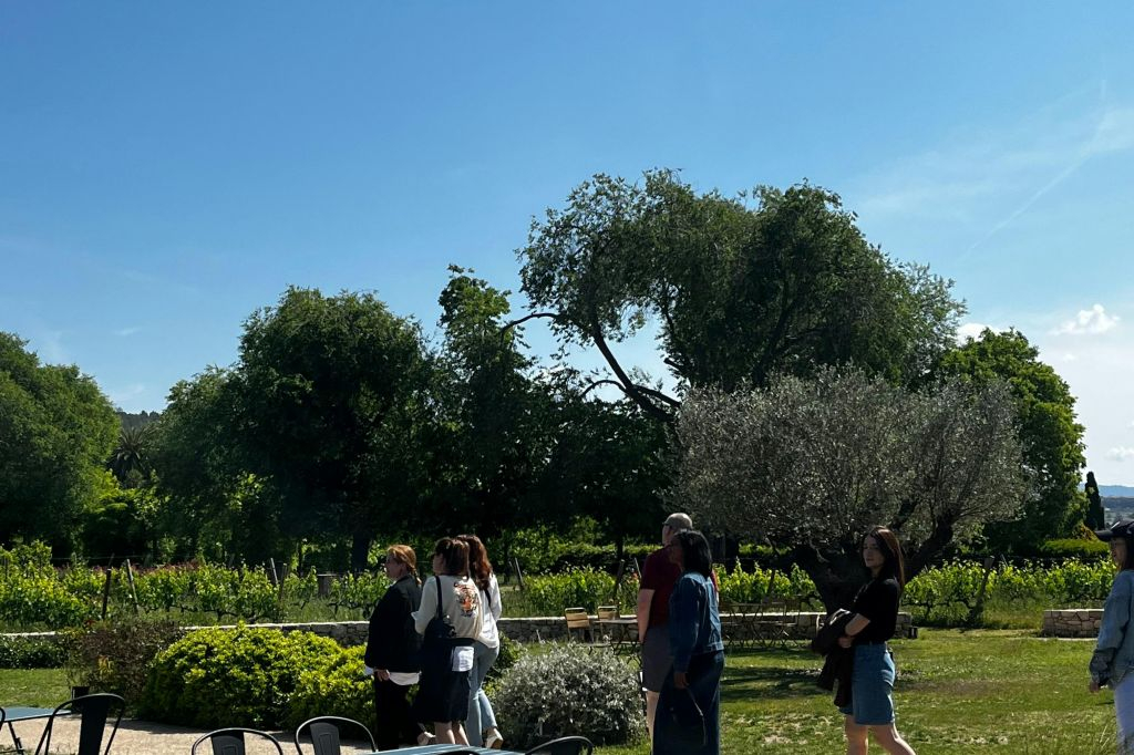 Barcelona: Guided Familia Torres Winery Tour + Tastings