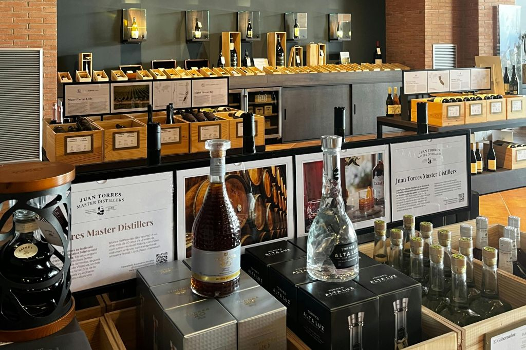 Barcelona: Guided Familia Torres Winery Tour + Tastings