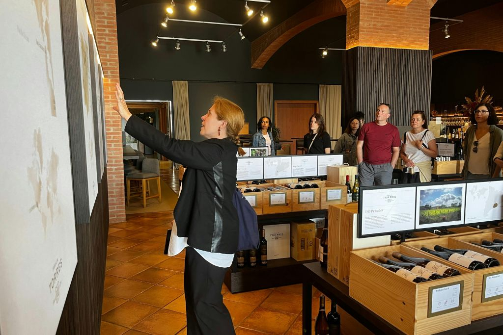 Barcelona: Guided Familia Torres Winery Tour + Tastings