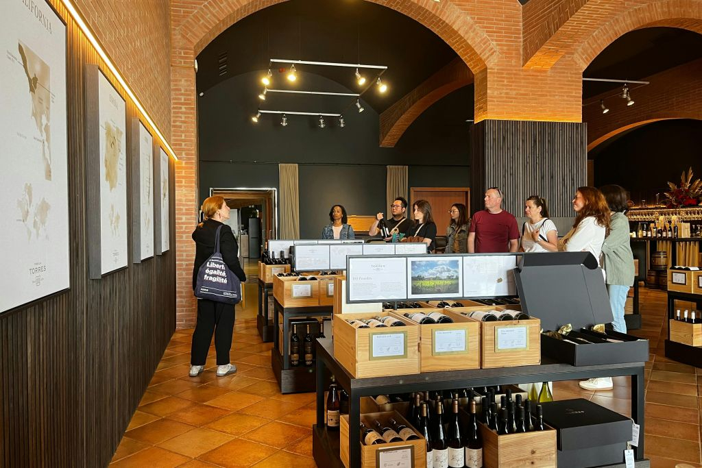 Barcelona: Guided Familia Torres Winery Tour + Tastings