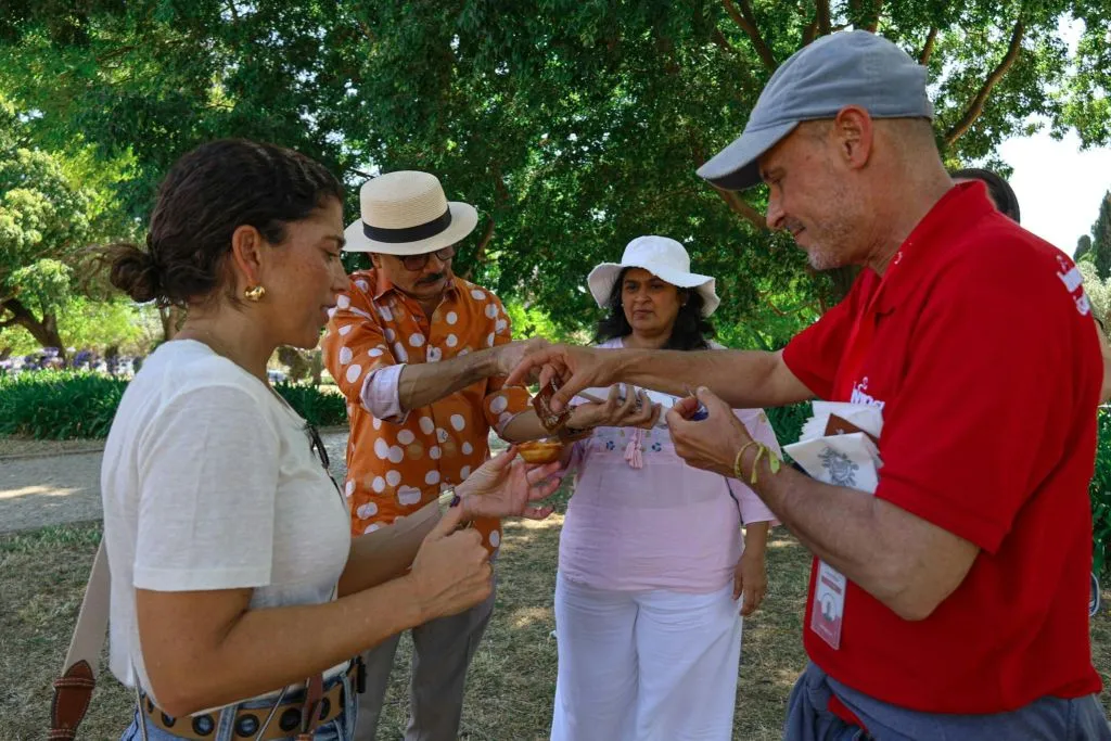 Lisbon & Belém: Small Group Tour