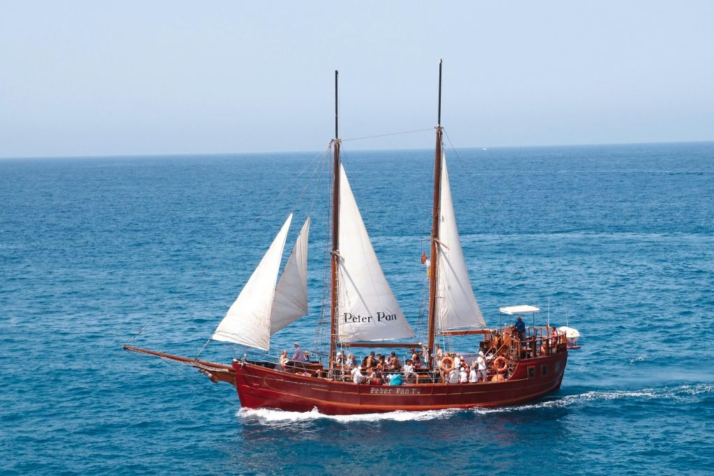 Los Cristianos: Tour guidato in barca per l'osservazione delle balene
