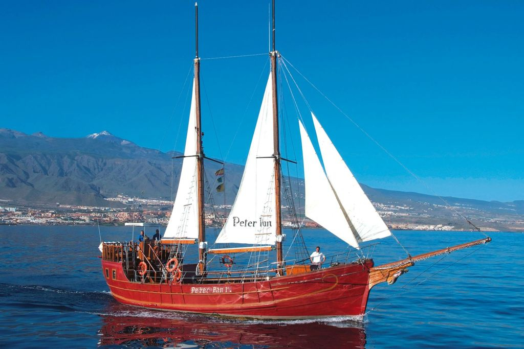 Los Cristianos: Paseo en barco guiado para avistar ballenas