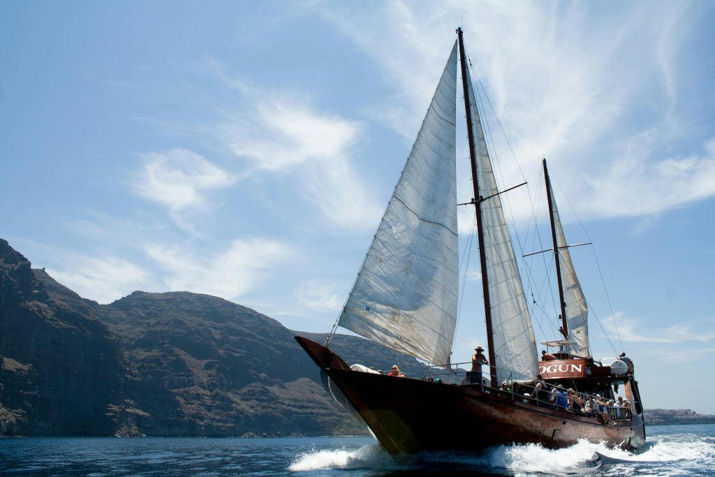 Los Gigantes: Crucero guiado de 5 horas para avistar cetáceos desde Costa Adeje + Comida