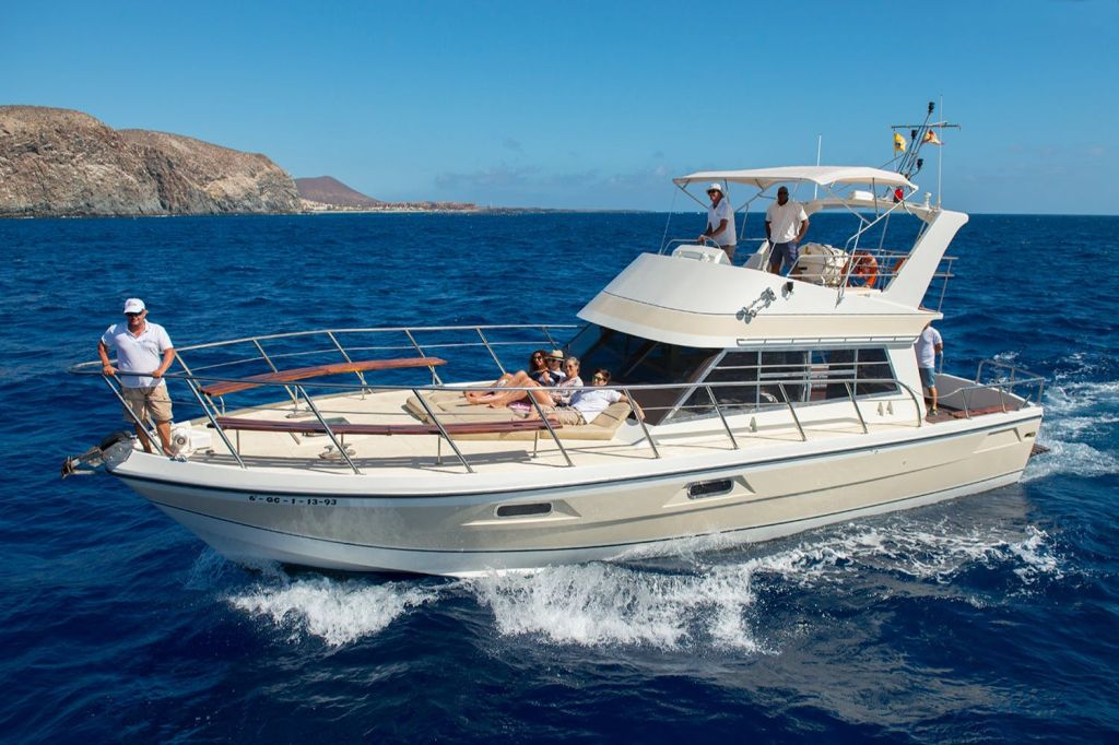 Los Cristianos: Tour guidato in barca + osservazione delle balene + pranzo