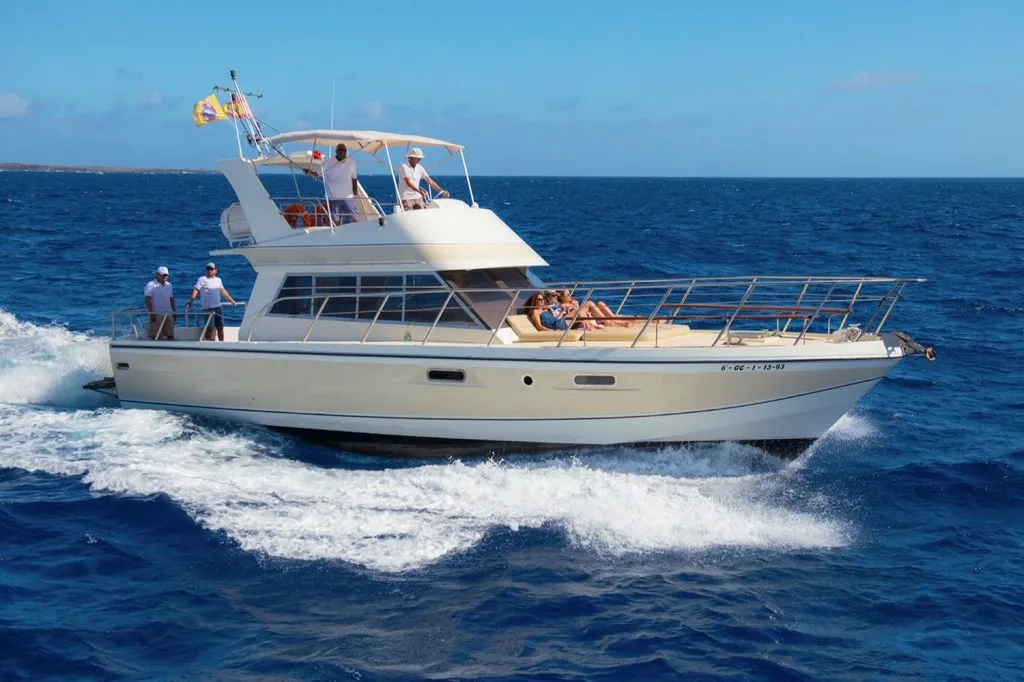 Los Cristianos: Paseo en barco guiado + Avistamiento de ballenas + Almuerzo