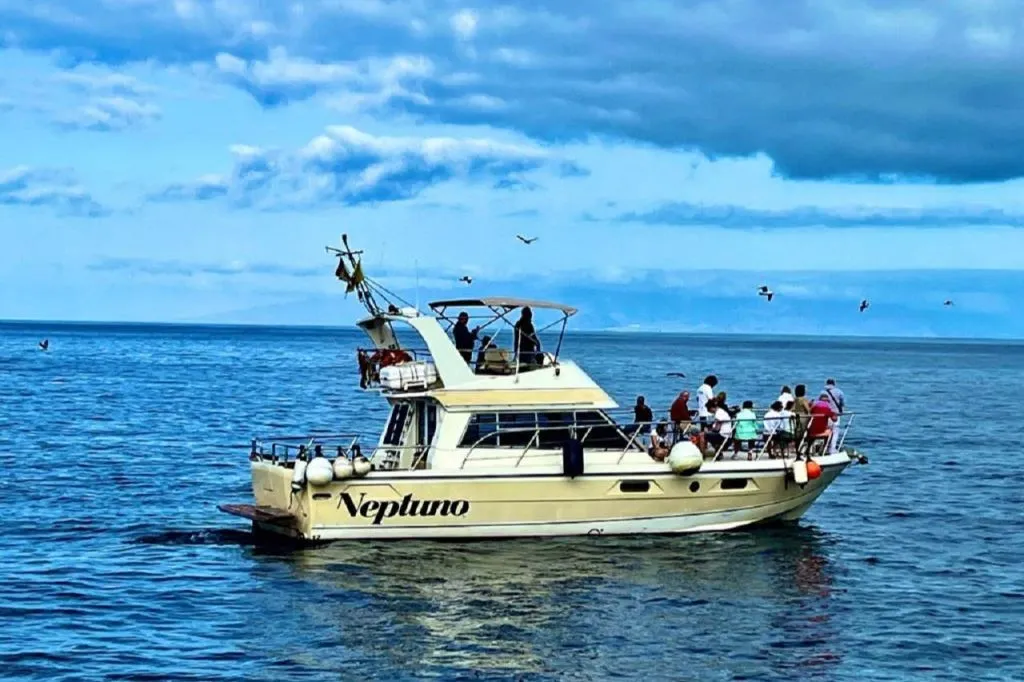 Los Cristianos: Paseo en barco guiado + Avistamiento de ballenas + Almuerzo