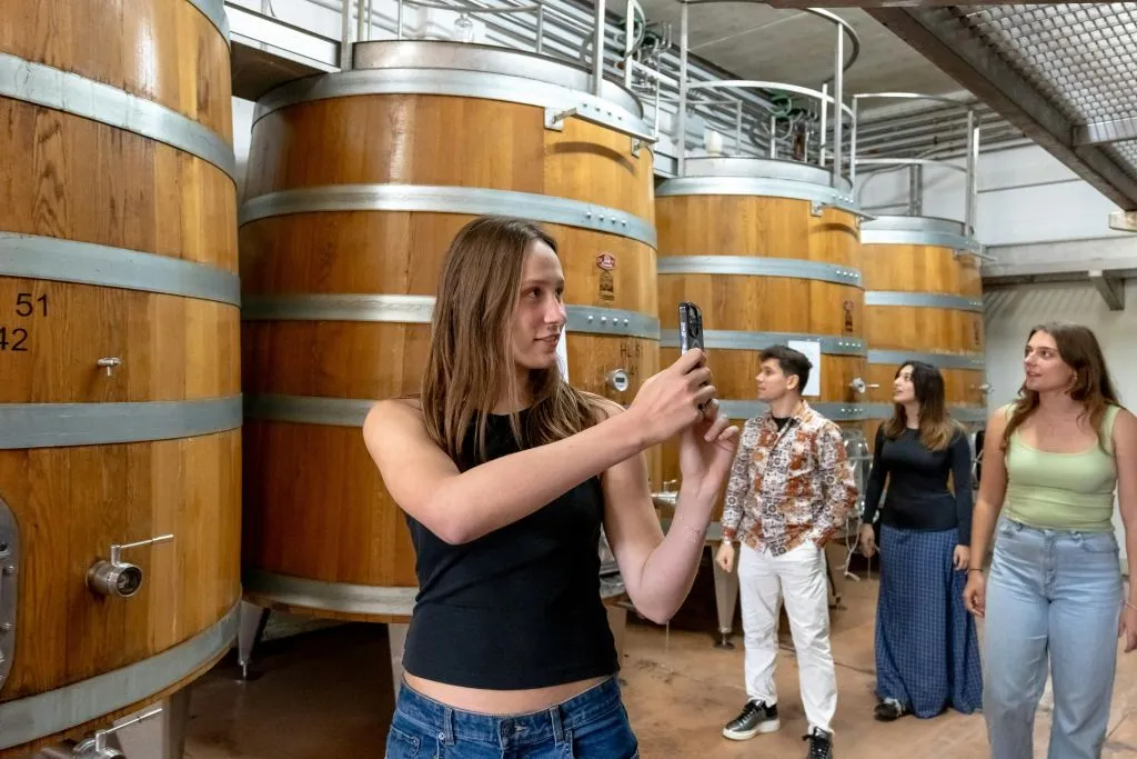 Siena, Chianti e San Gimignano: tour in giornata da Firenze + visita alle cantine + pranzo