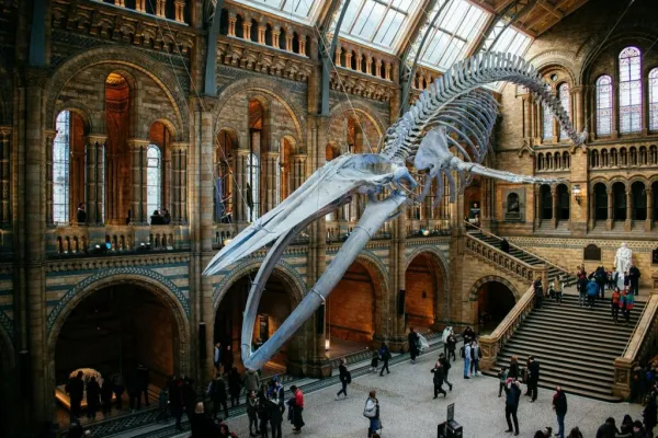 Museo de Historia Natural de Londres: Entrada reservada + Tour guiado + Audioguía