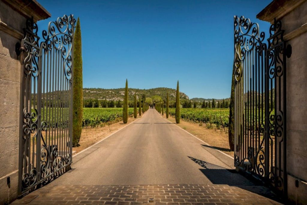 Côtes De Provence: Guided Wine Tasting Tour from Aix-en-Provence