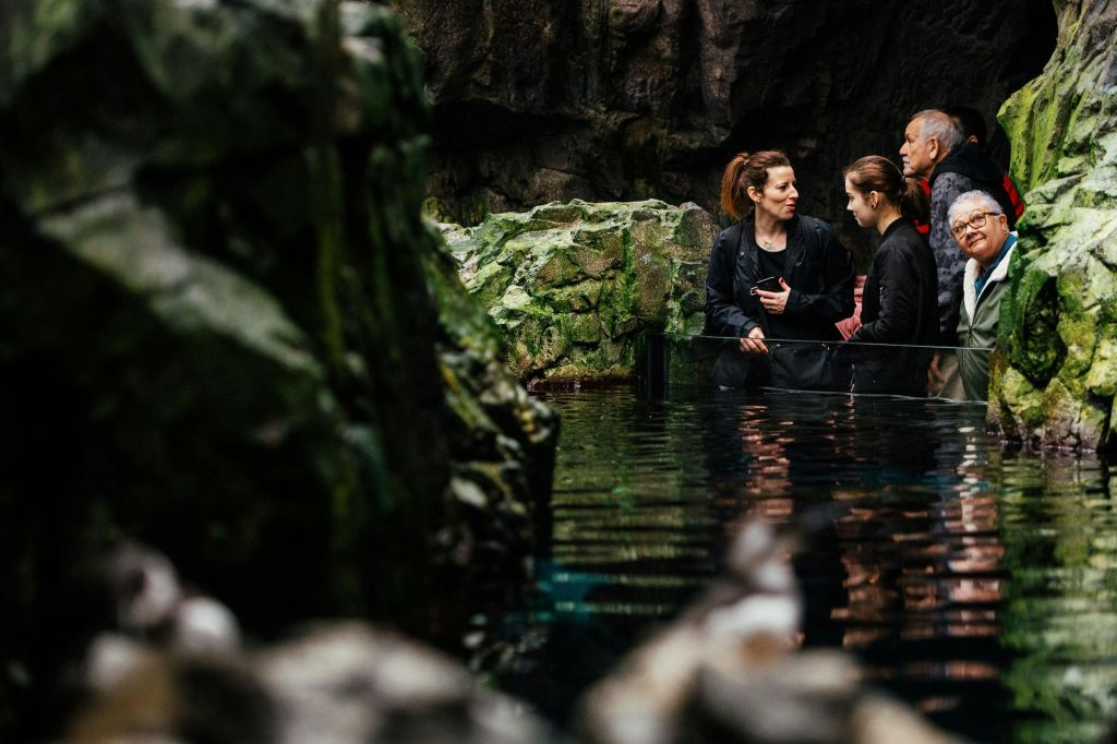 Oceanário de Lisboa: Guided Tour